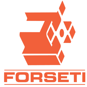 Logo da Forseti, cliente da VCSTILO em Curitiba